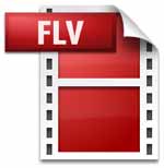 Flash Video Logo